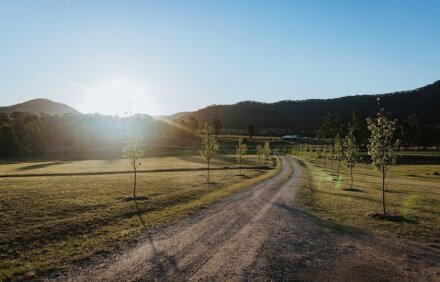 Glen Eden Estate