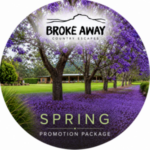 'Spring' Promotion Package - 1 Listing