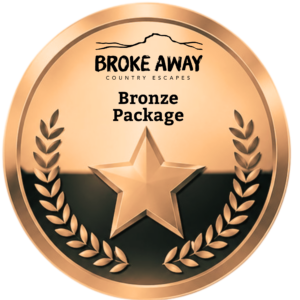 'Bronze' Package - 1 Listing