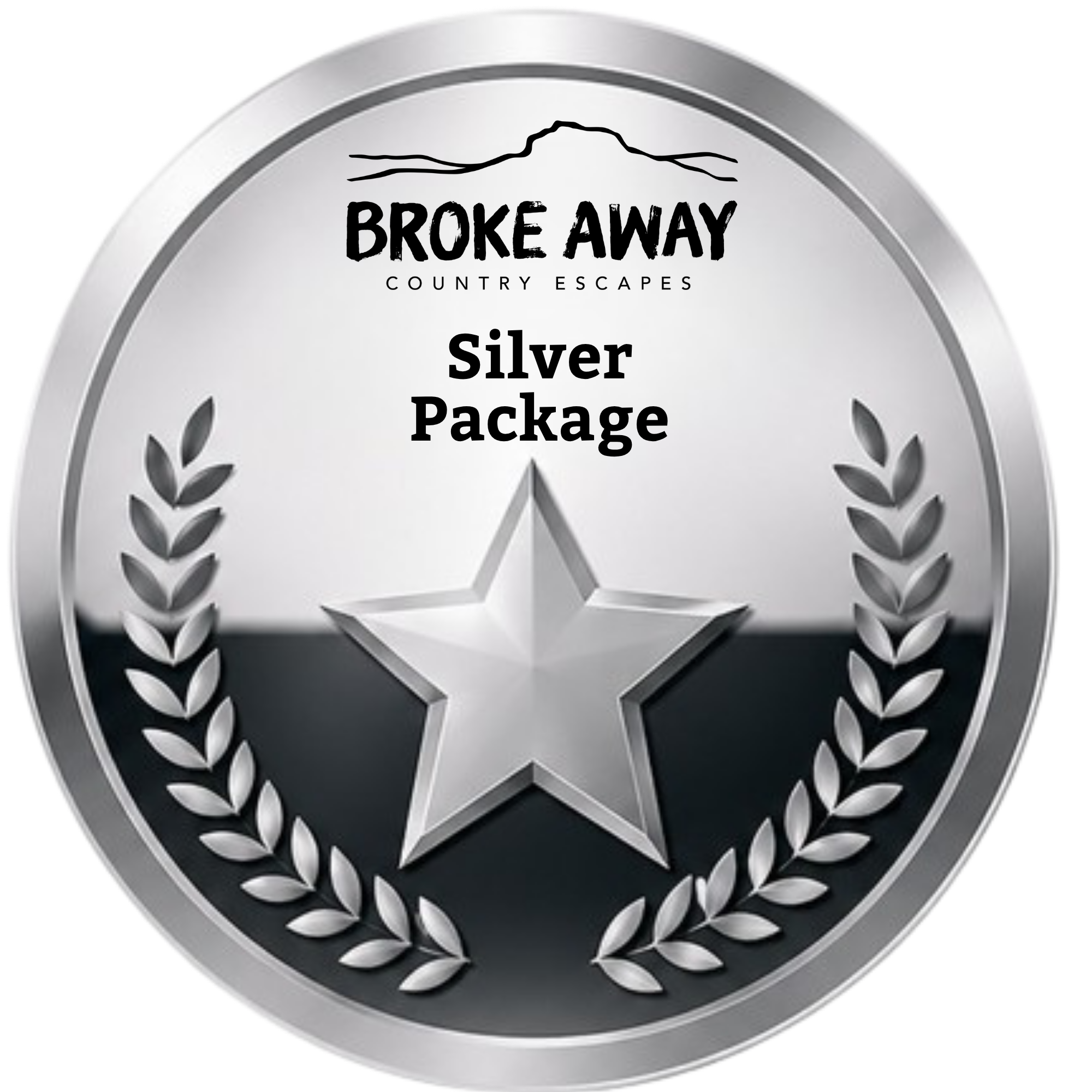 'Silver' Package - 2 Listings