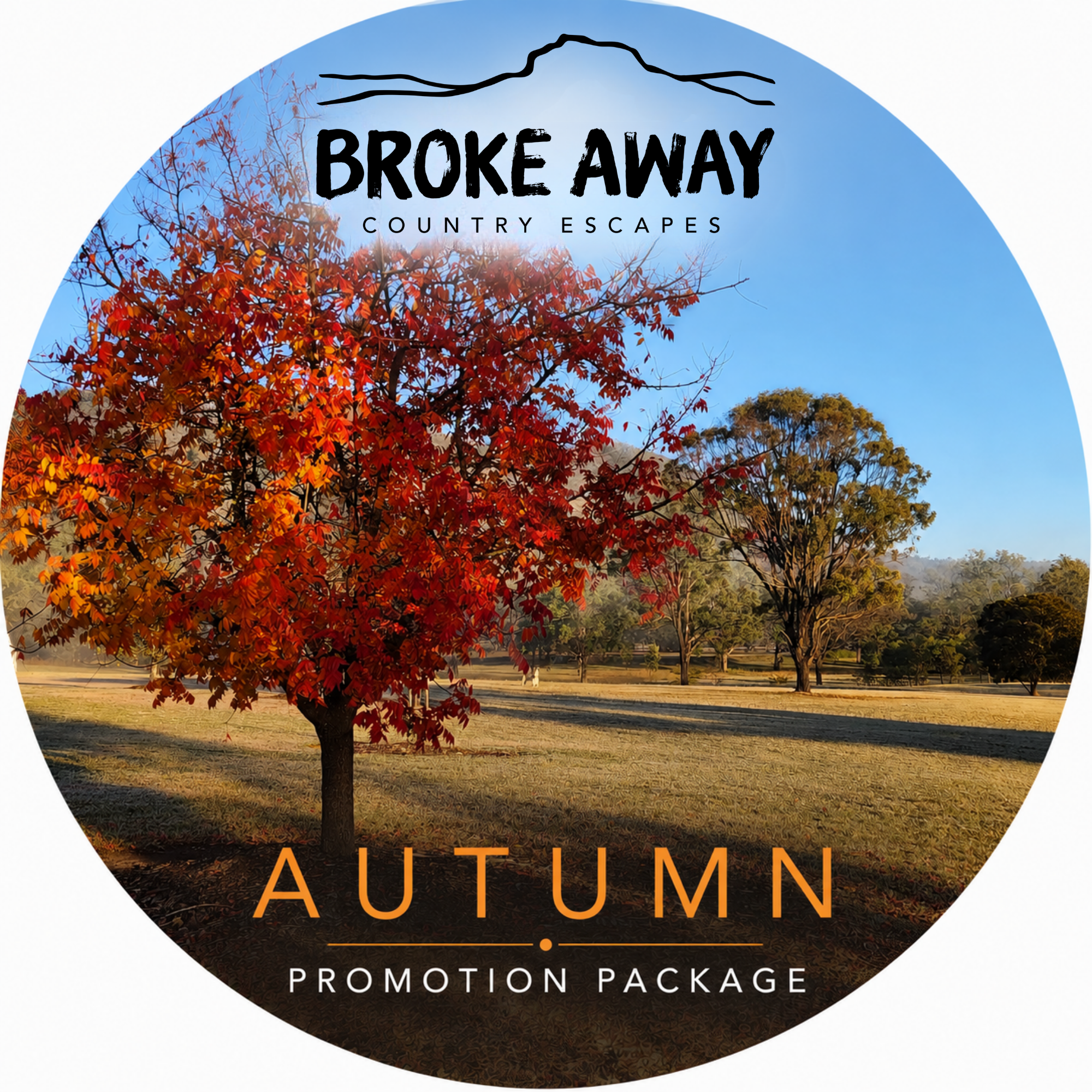 'Autumn' Promotion Package - 1 Listing